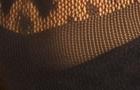 Manchester Metrolink Closures Commuter Guide By Secrets Escorts - 0161 798 6769